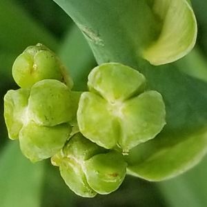 Meet your Posher, Stephen